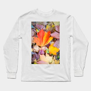 Fallen Leaves Long Sleeve T-Shirt